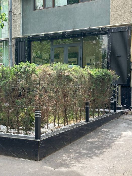 Нежилое помещение Центр Кунаева под Офис,Салон