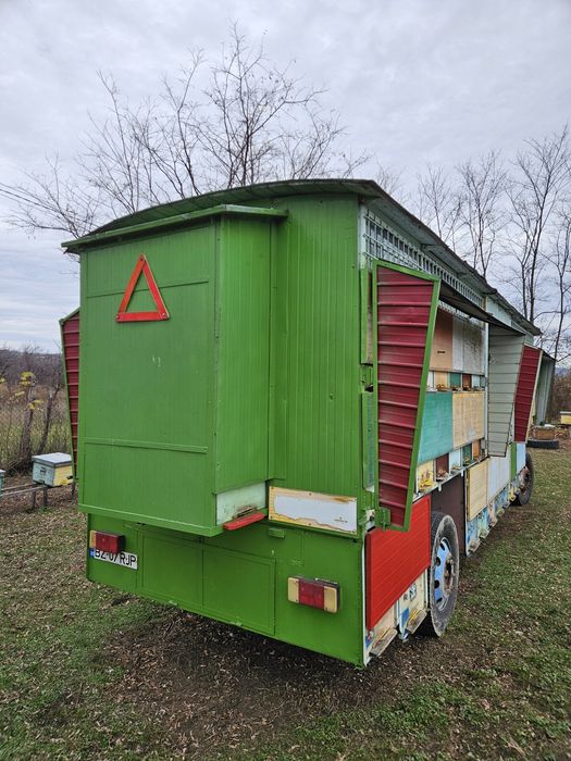 Vand pavilion apicol