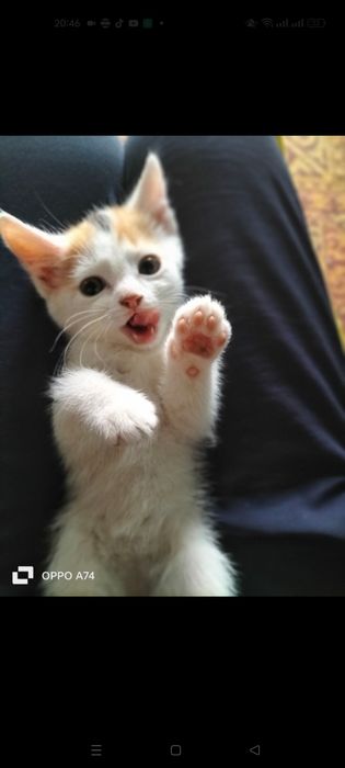 Заберите пожалуйстааааааа