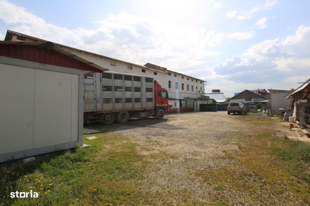 Abator complet functional cu grajduri pentru animale in Bod Colonie