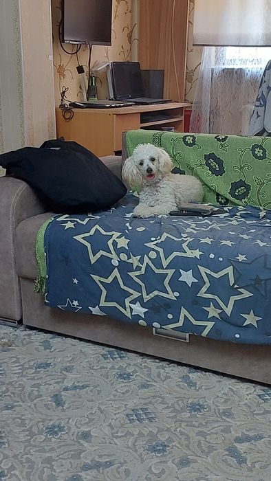 Передержка. В гостях у кинолога!