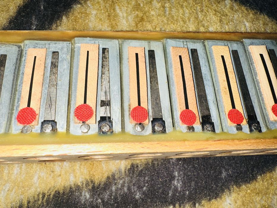 Muzică acordeon hohner 80 sau 48 basi