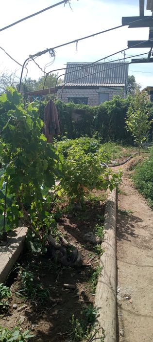 Продам сдам или обменяю дачу Горняк на квартиру на низу .