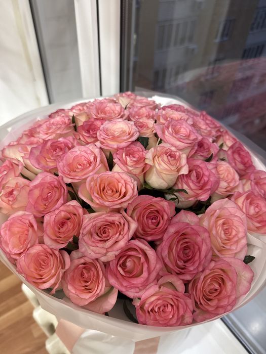 51 шт Роза свежий 12.11 кунги саудасы бар