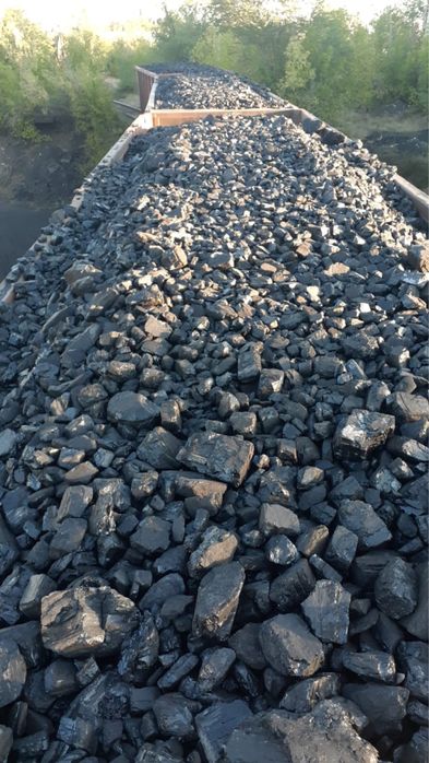 Отборный уголь Семей Шубаркуль напрямую с угольного склада