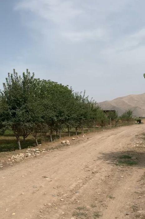 Шийпон Ширмон булок , канал тепаси, чегара томонда