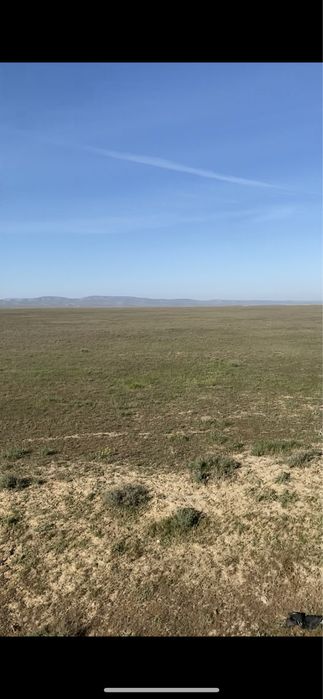 100 гектар суармалы жер Шага(Шоктас)