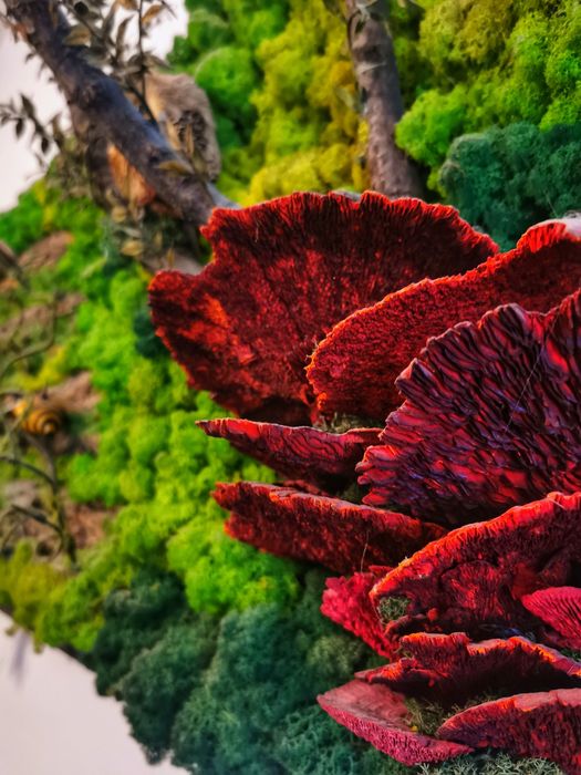 Vând tablou licheni