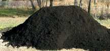 Pamant Negru Vegetal