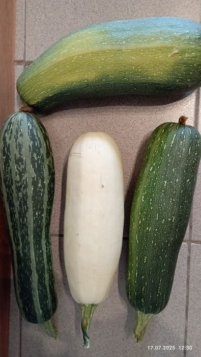 Продам домашние кабачки.Астана