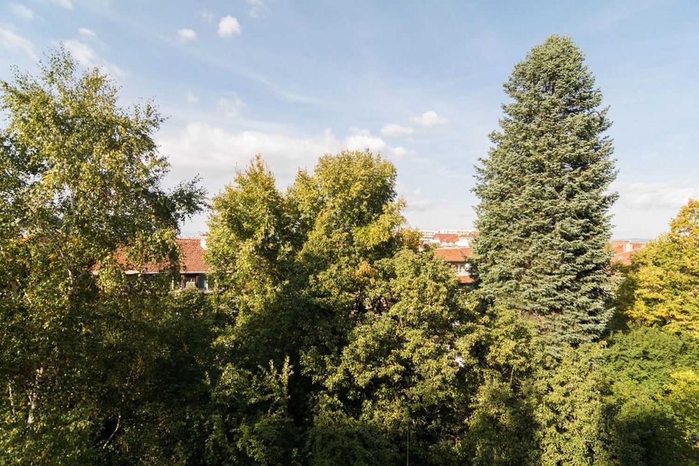 Двустаен апартамент Лозенец