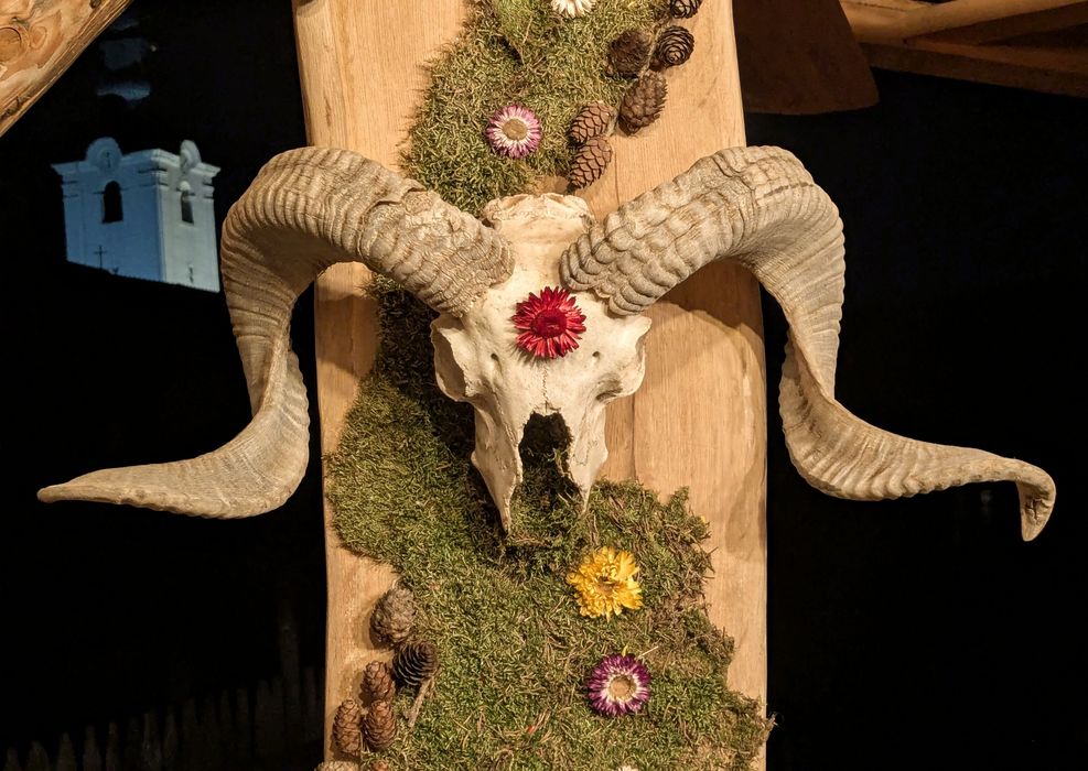 Decor perete din mușchi natrual