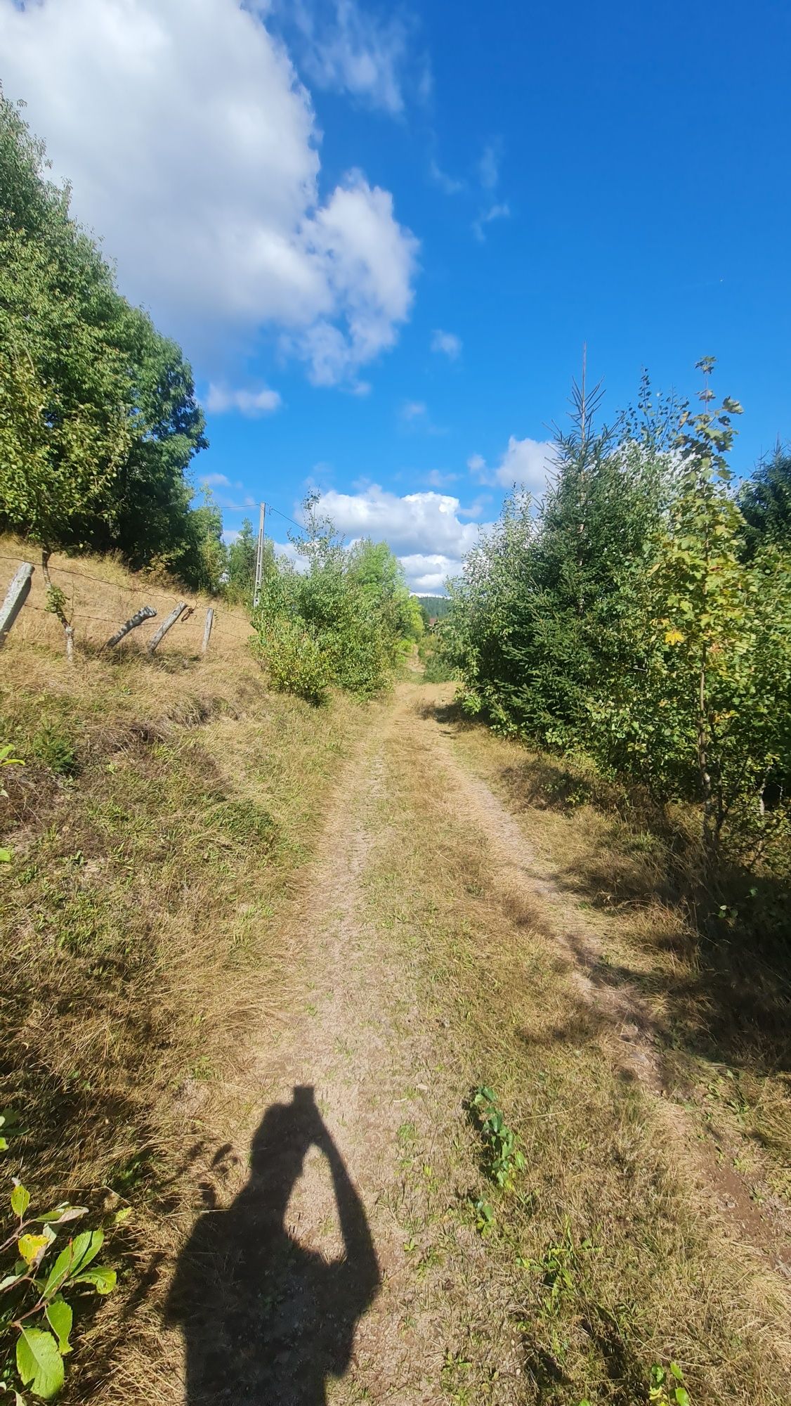 Vând teren zona Arieseni 2090mp