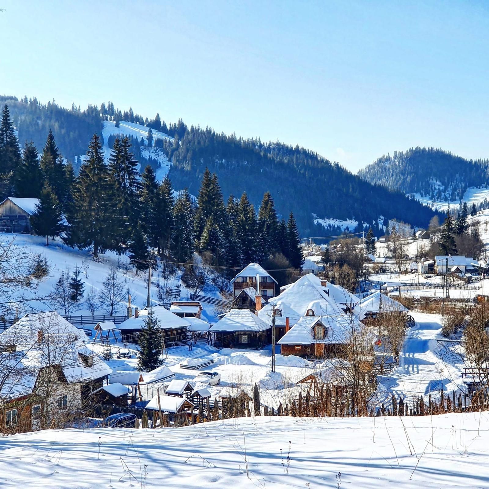 Teren intravilan Bucovina, Breaza langa Fundu Moldovei