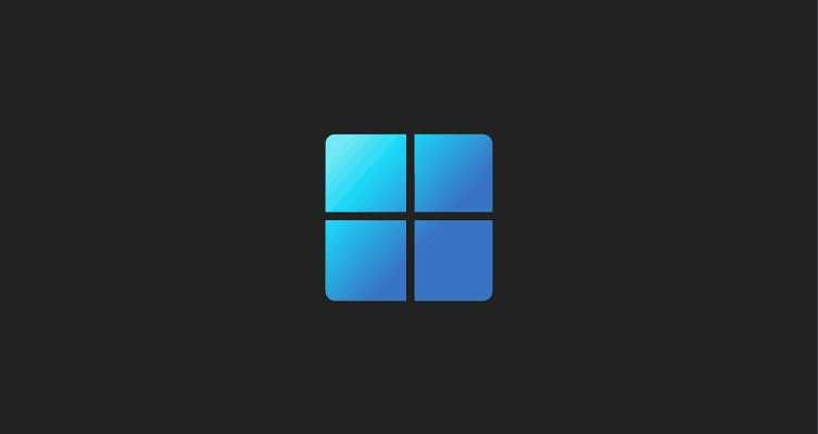 Windows 10 / 11 + microsoft office