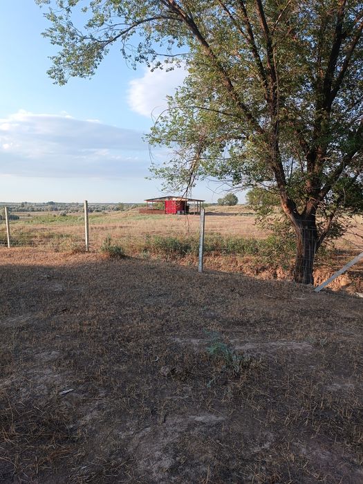 Продам земельный участок под КХ