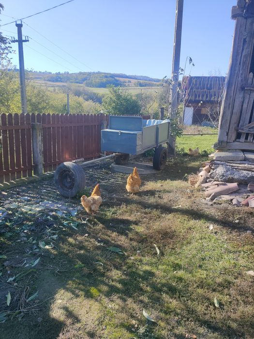 Vând motocultor Dakart 16 cp