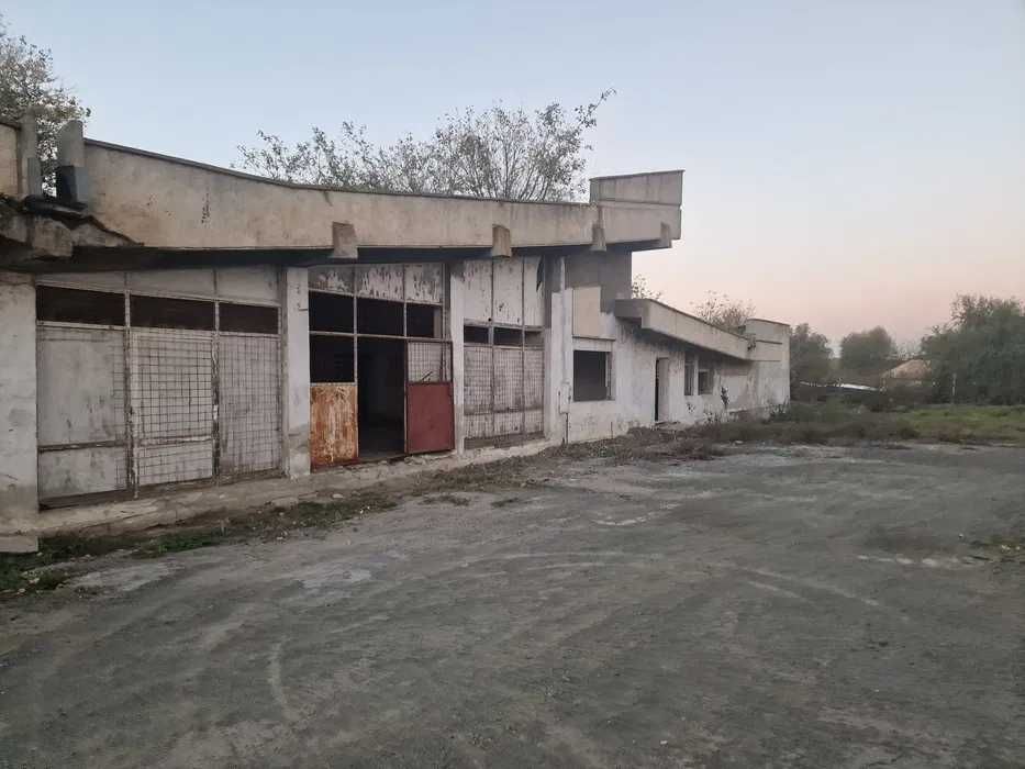 Дава се под наем Офис в с. Дуранкулак, Област Добрич - 1920 кв.м за 60000 € - Снимка #7