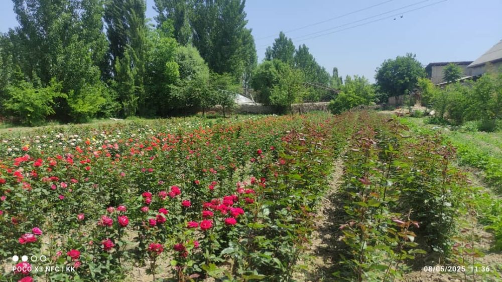 2.500 so'm kelishamz