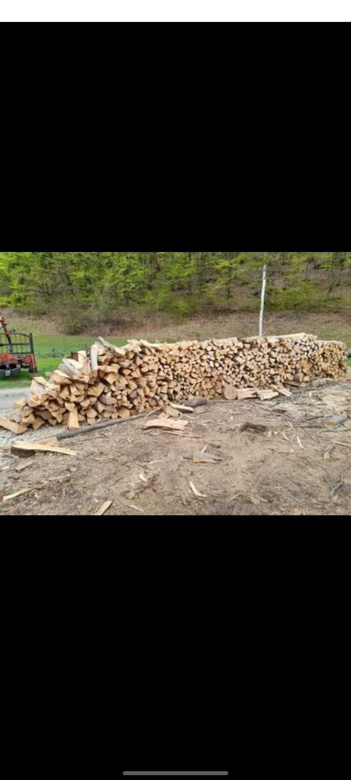 Vand lemn de foc