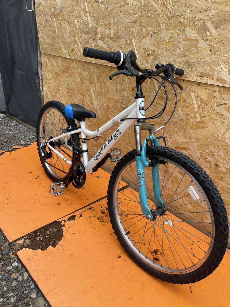 Bicicleta apollo vivid roti 24”