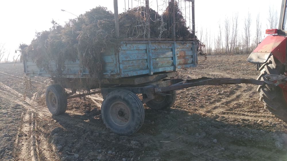 Hammasi narsasi joyida.