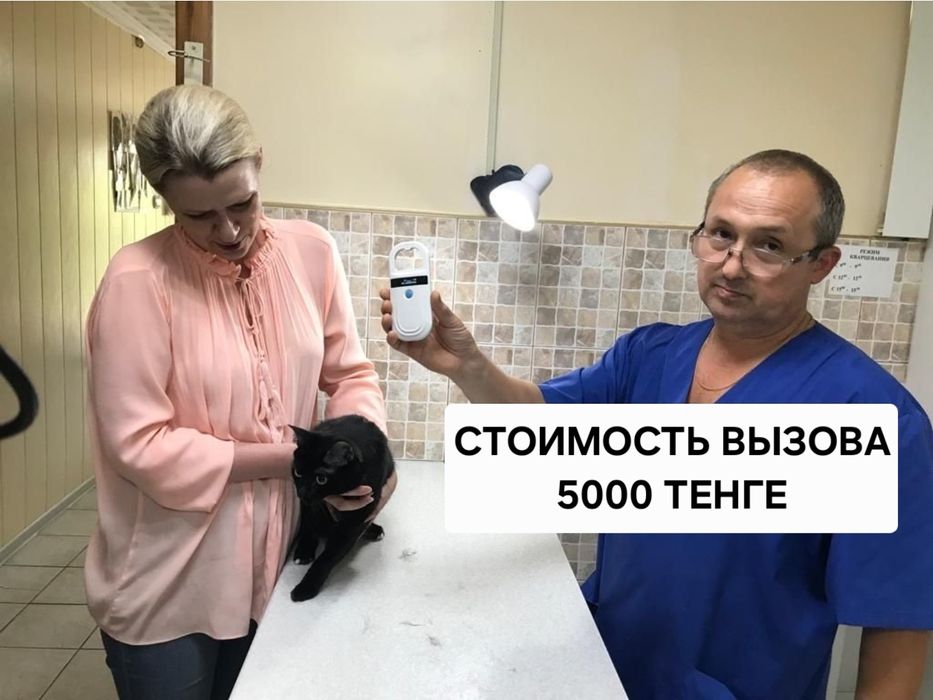 Ветеринар ветеринарный врач на дом   эвтаназия вакцинация выезд вызов