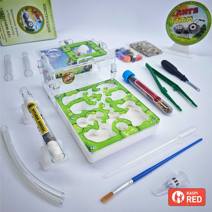 Муравьиная ферма - Муравьи жнецы ||| ГИПСОВЫЙ Формикарий "START"