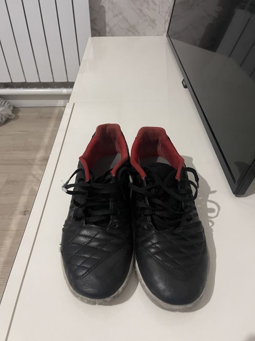 Залник лунар гато