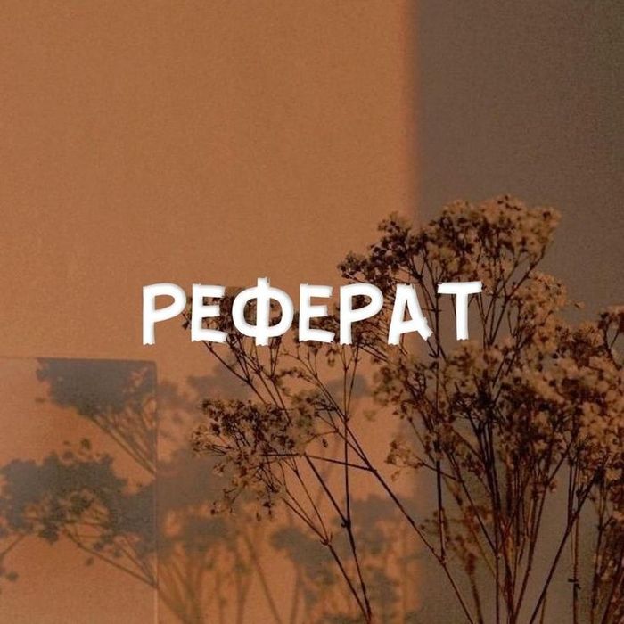 Делаю рефераты и слайды