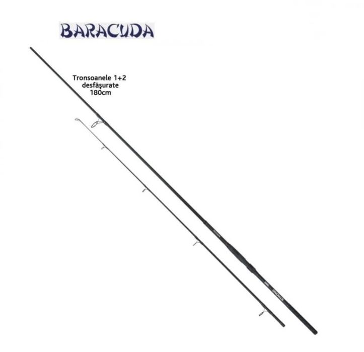 Lanseta fibra de carbon Baracuda Strong Carp 300