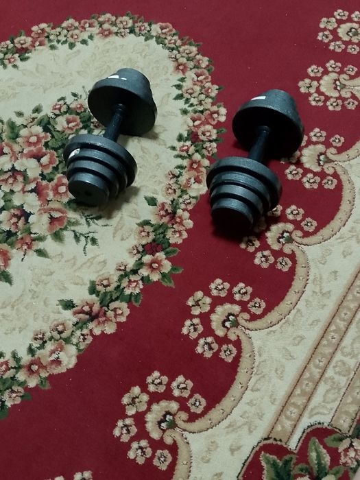 Gantel. 2 dona 10 kilodan.