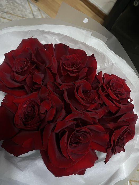 продам голланские розы