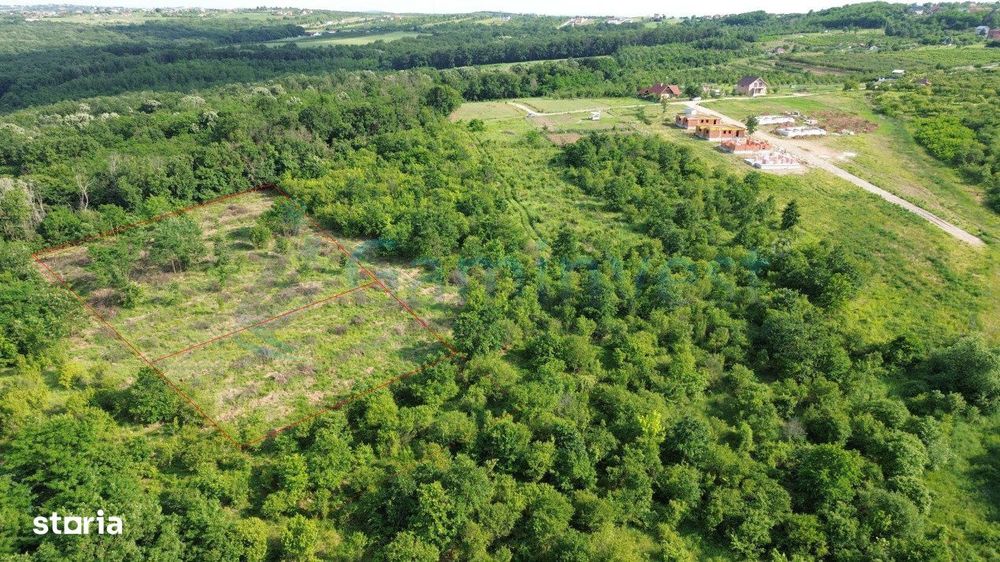 Teren intravilan,zona deosebita in padurea Paleu,Bihor,Gaminvest,V4129