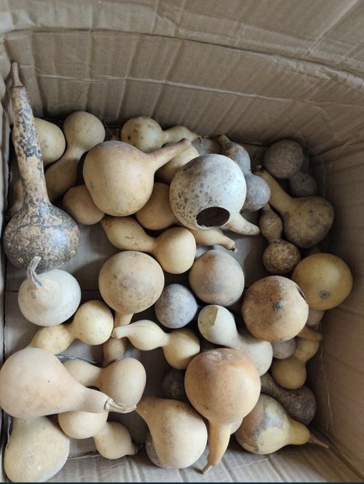 Кратуни за декорация