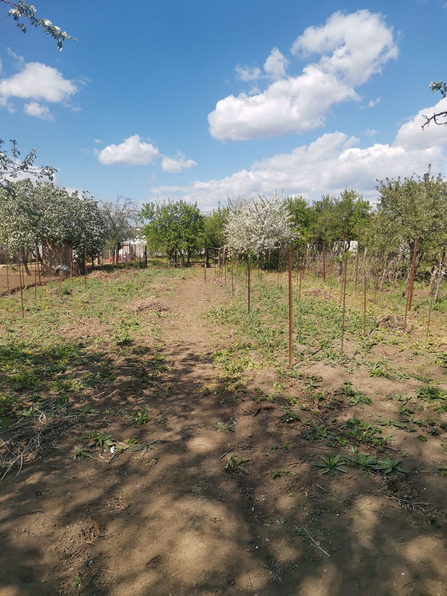 Vand casa in Caracal