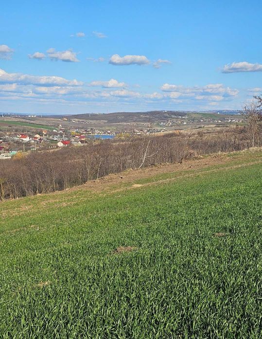 Teren ideal pentru construcția unei case, comuna Miroslava, Proselnici