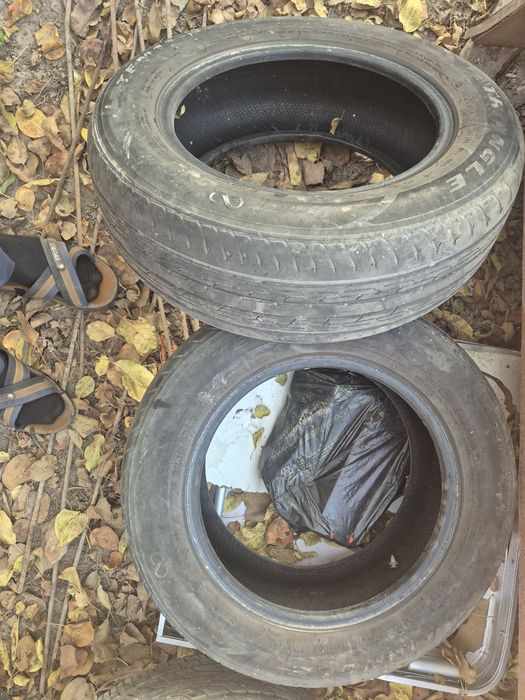 Летние шины комплект ,2 из них triangle