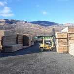 500  LEI. CHERESTEA , GRINZI ,  asigur transport.