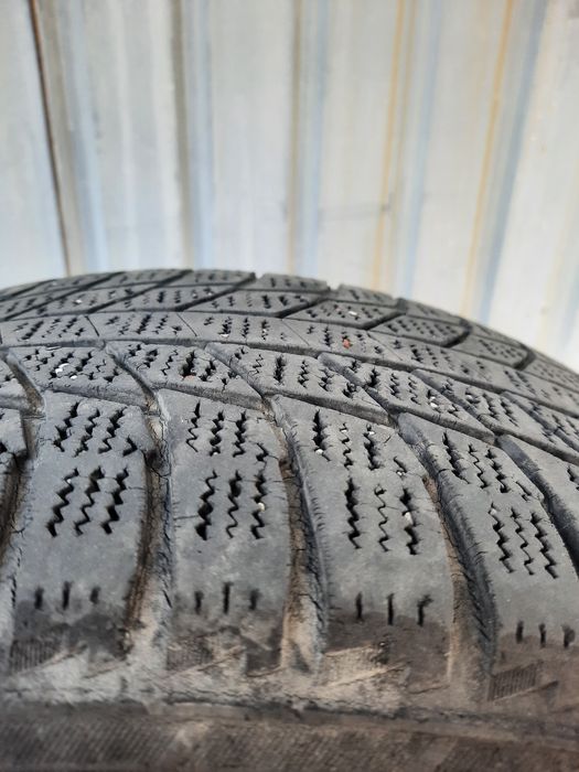 Зимние шины тригианже