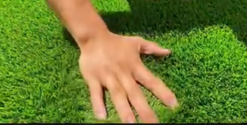 Искусственный газон премиюм качество