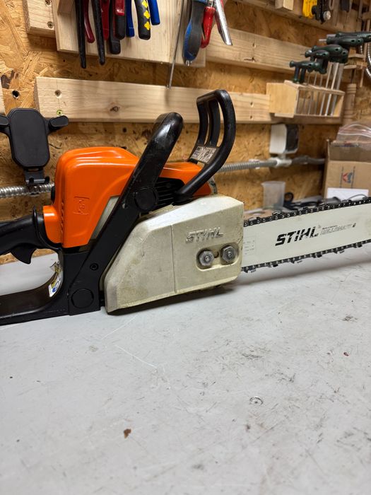 Drujba Stihl MS170