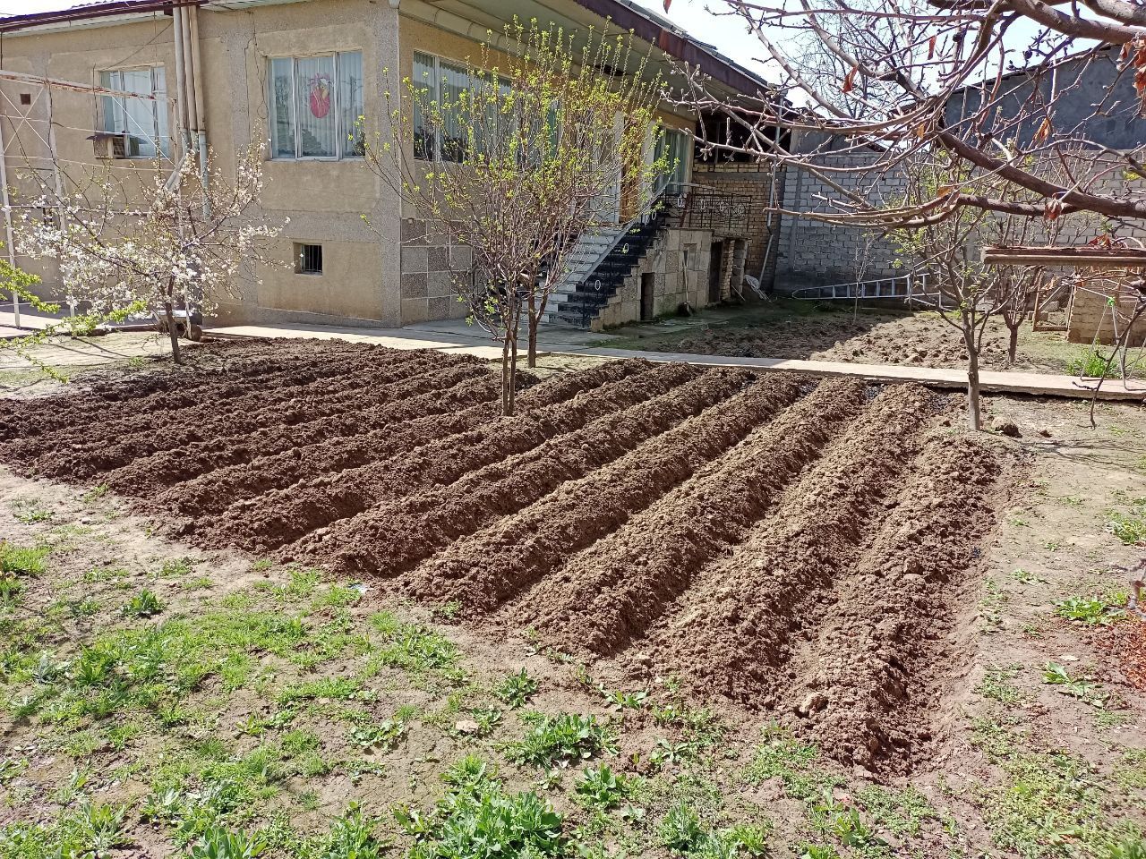 Ховли уй сотилади