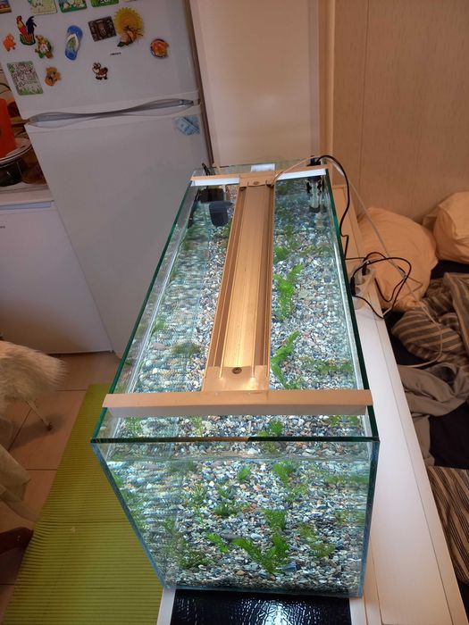 Аквариум для грызунов и рыбок на заказ