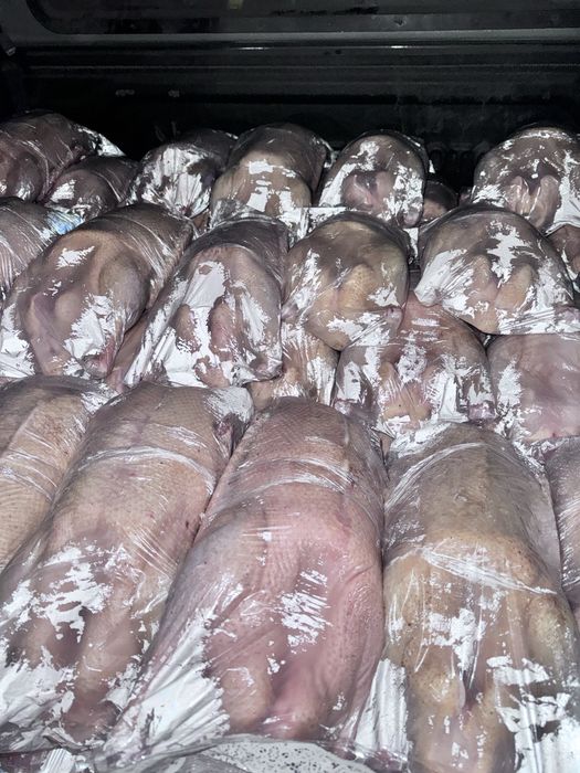 Мясо гуся , домашнее на домашних кормах