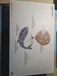 Tabela grafica Huion H950P