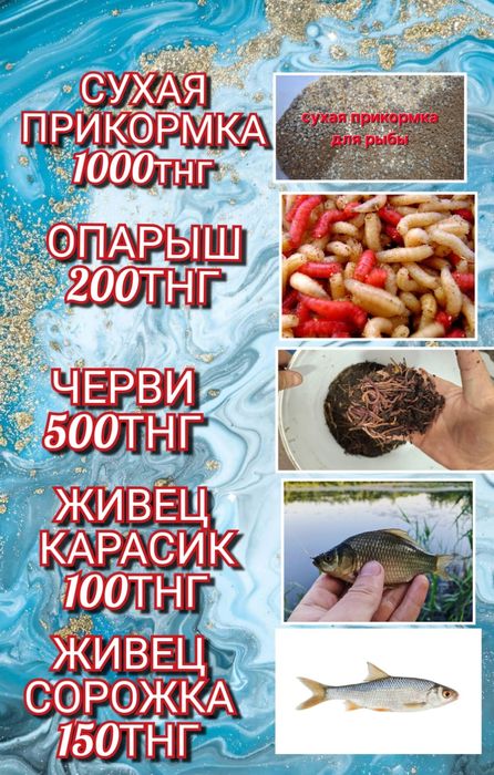 Живец в наличии шустрый