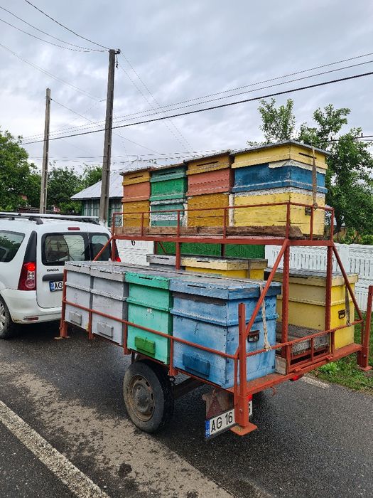 Vand stupina , 16 stupi