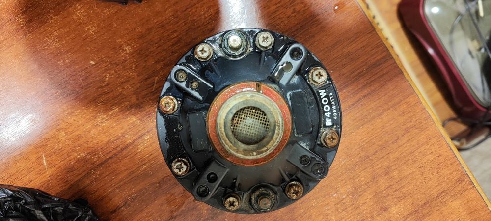 Serena karnay arginal