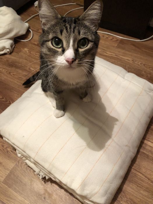 NEW!! Ткань для Тафтинга (основа)/Tufting Fabric